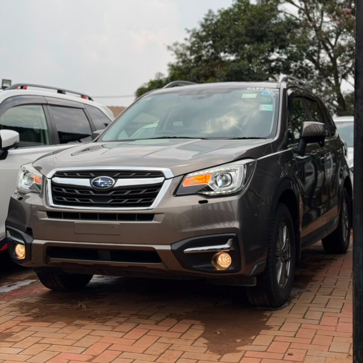 Subaru Forester 2017 — photo 8