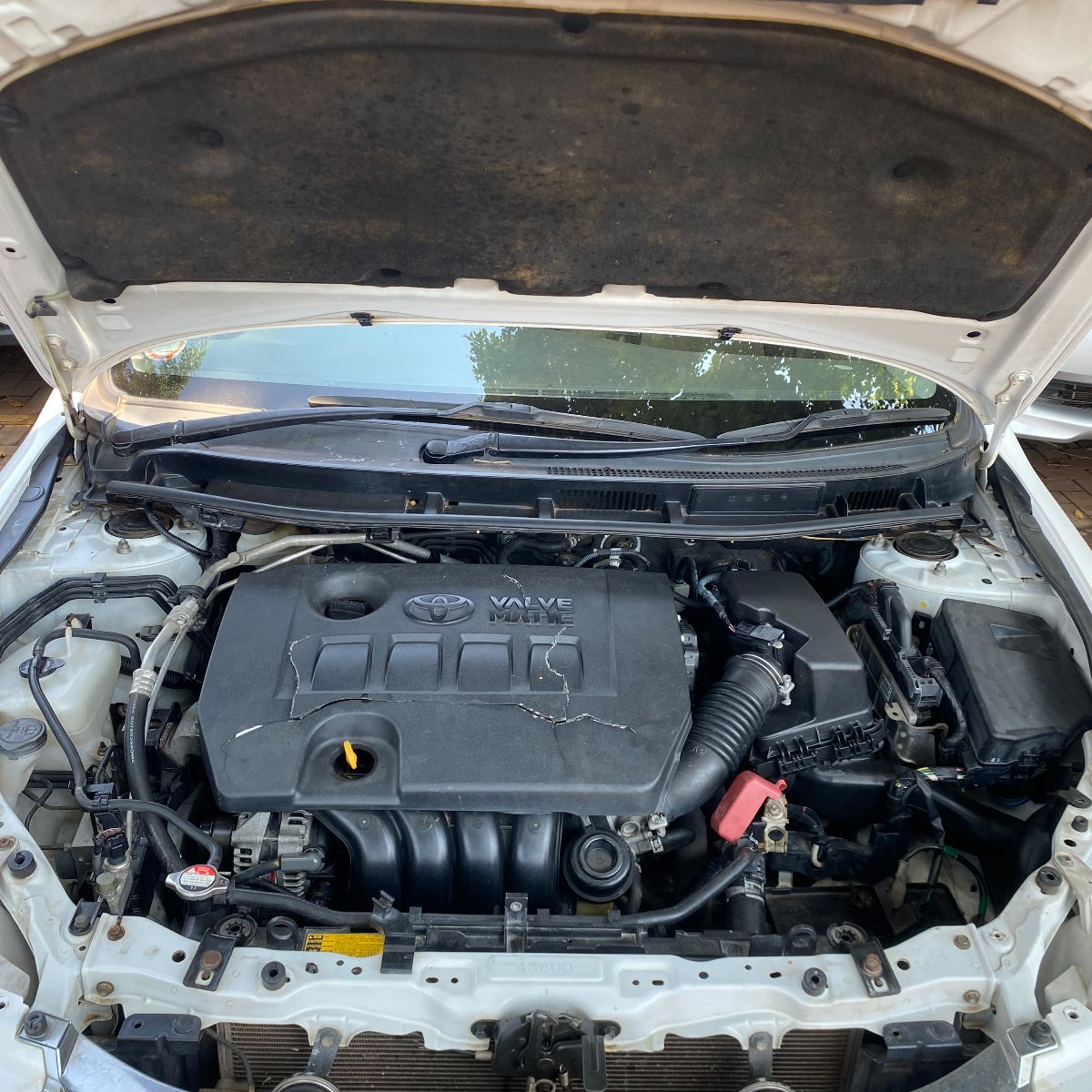 Toyota Premio