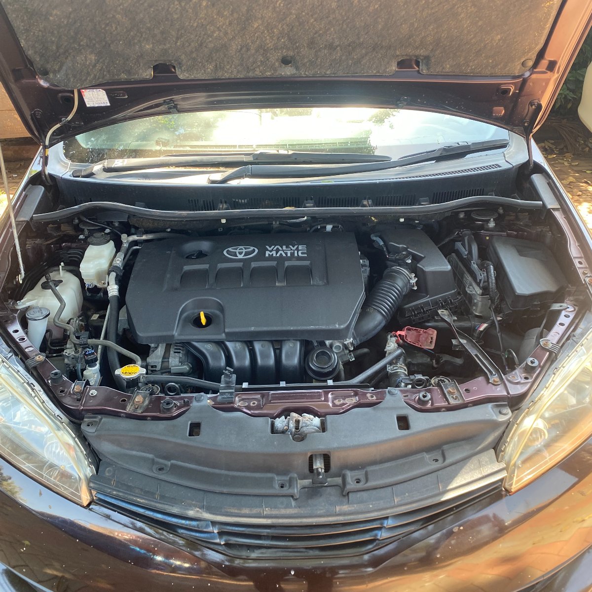 Toyota Wish 2012 — photo 2