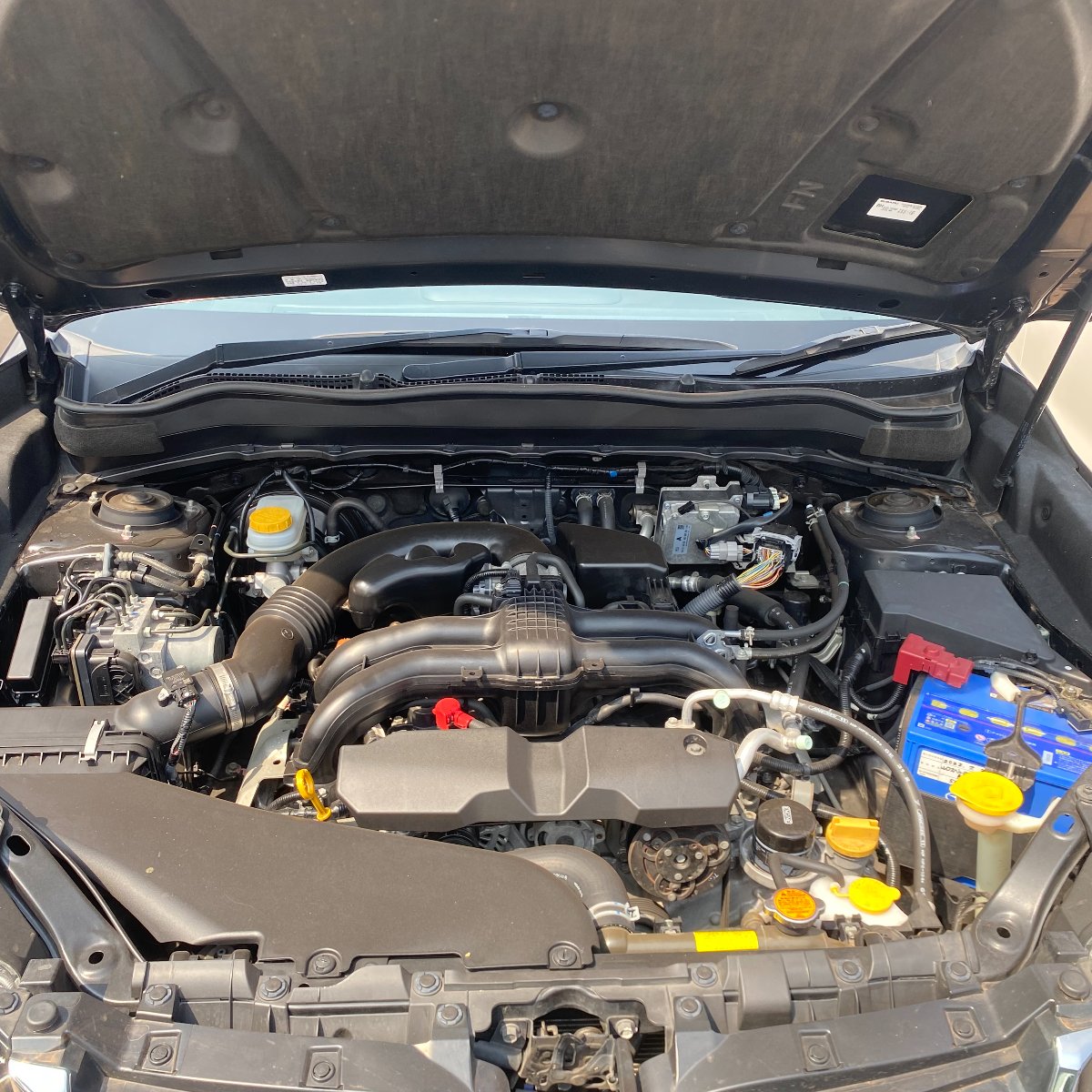 Subaru Forester 2017 — photo 2